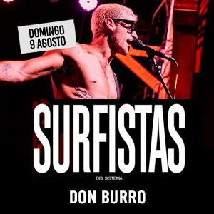 Los Surfistas del Sistema